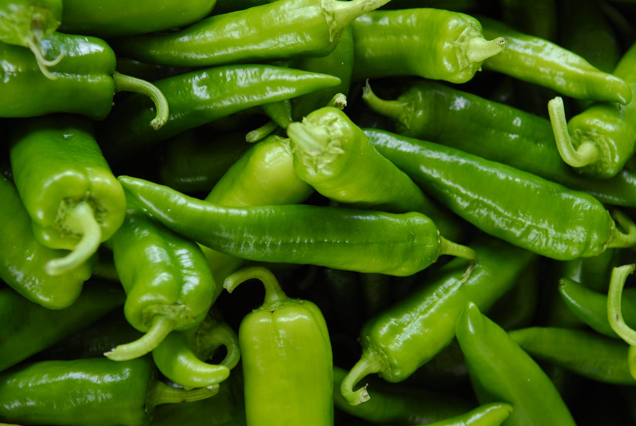 A vibrant close-up of fresh organic green chili peppers showcasing their glossy texture and natural freshness.