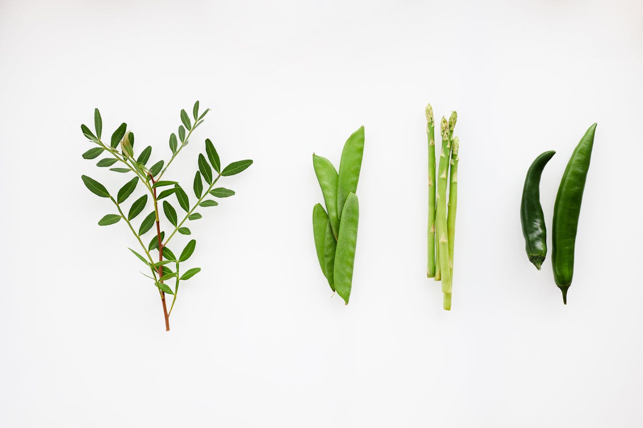 A minimalist display of green vegetables including leaves, snow peas, asparagus, and green peppers on a white background.
